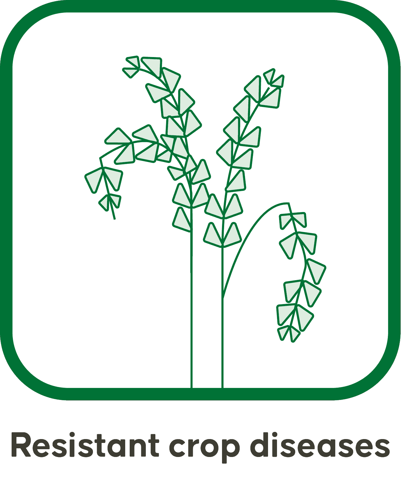 Resistant crop diseases