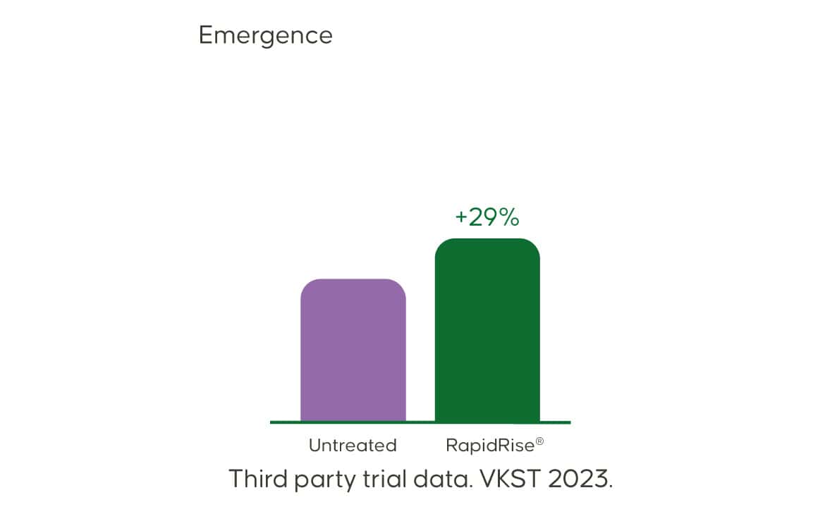 Rapseed_Emergence
