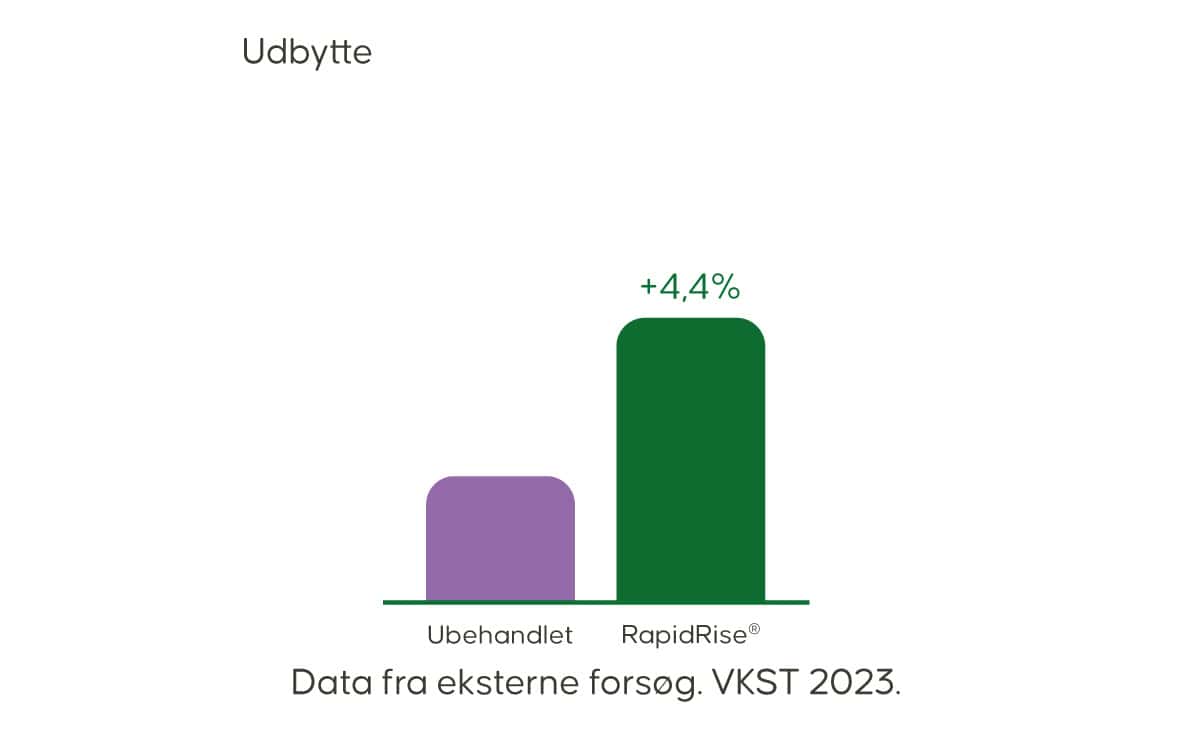 Rasp_Udbytte
