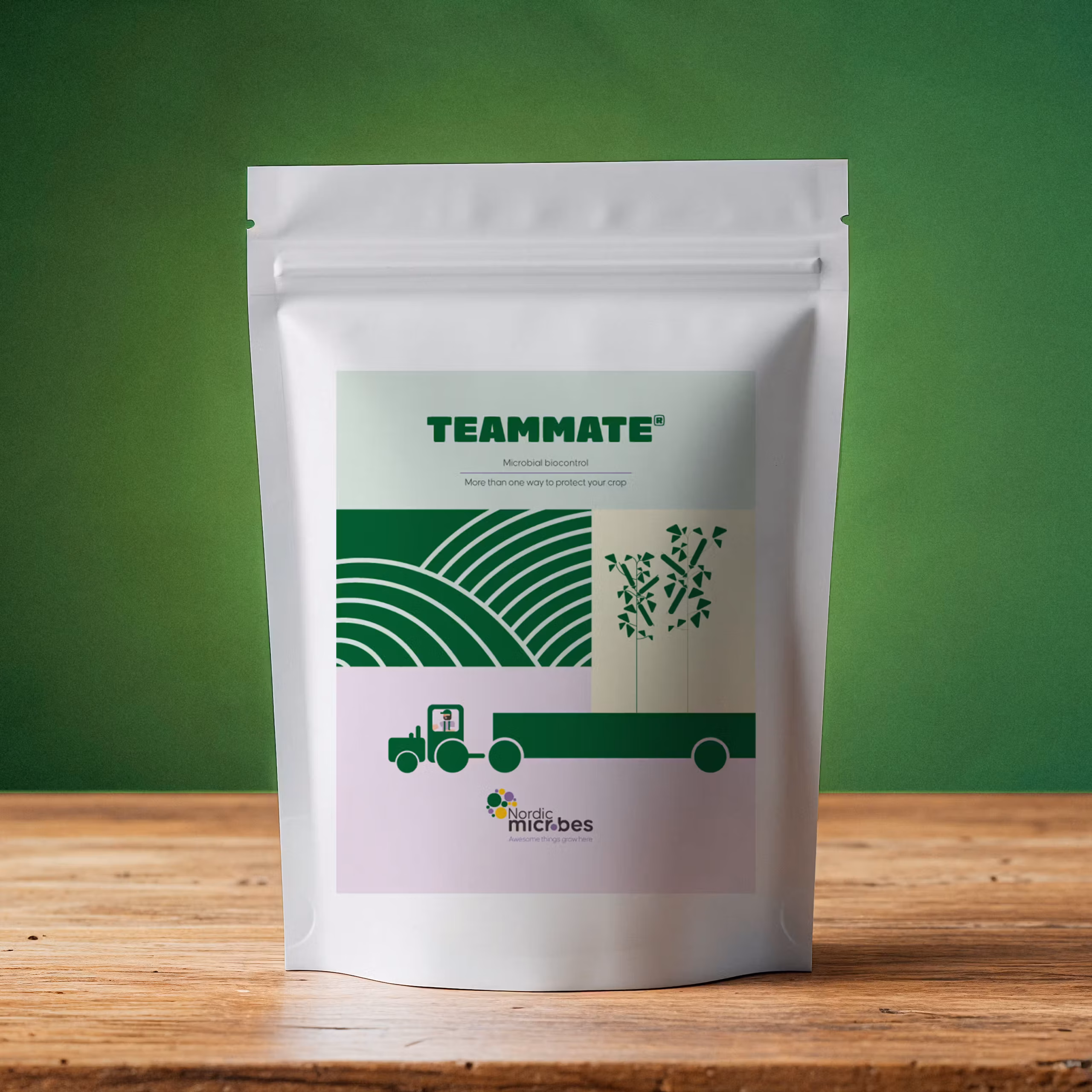 Product_TEAMMATE
